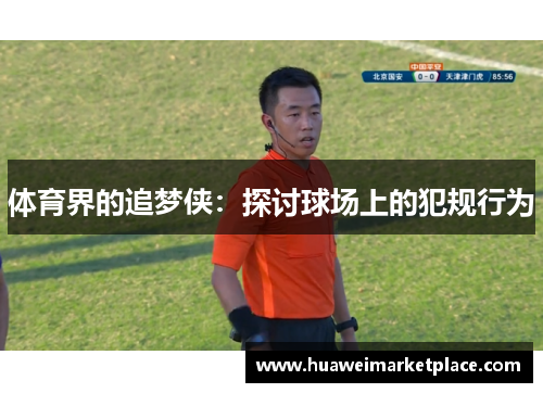 体育界的追梦侠：探讨球场上的犯规行为